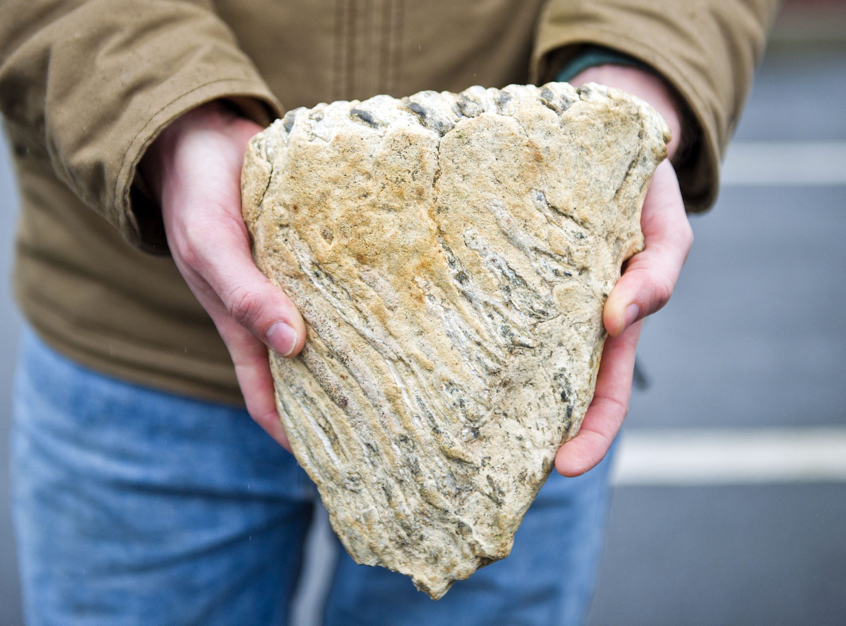 Mammoth tooth, 1.30.21